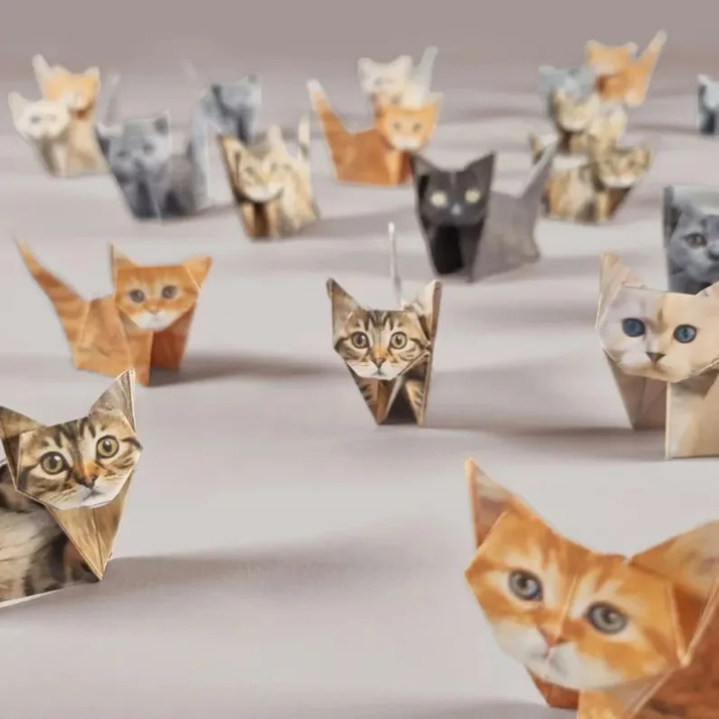 Creative DIY Paper Cats 50 She - огляд і ціна Art Craft Birthday Party