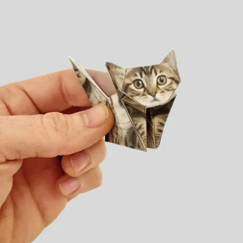 Creative DIY Paper Cats 50 She - огляд і ціна Art Craft Birthday Party