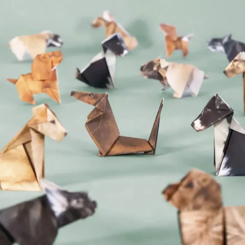 Creative DIY Paper Cats 50 She - огляд і ціна Art Craft Birthday Party