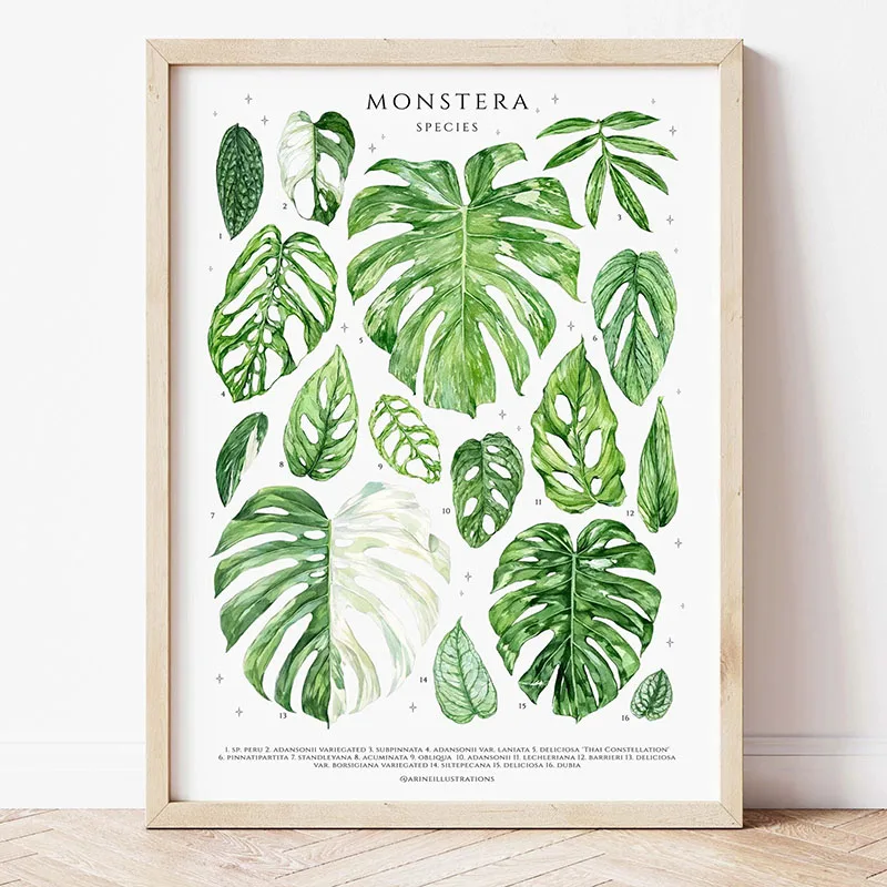 1pc Modern Houseplants Leaves  - огляд і ціна Art Craft House